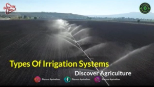 WATERING systems